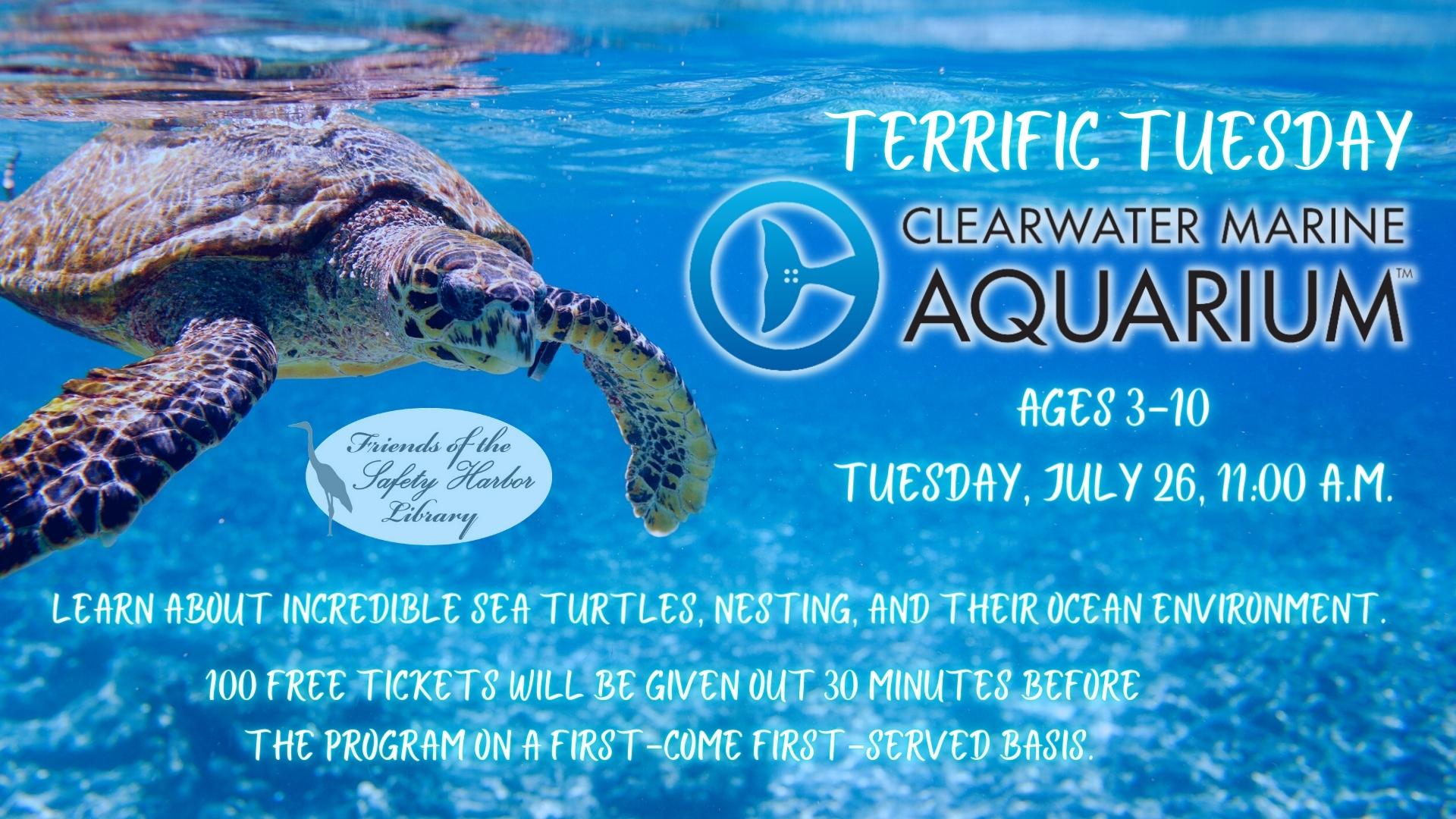 Children's Terrific Tuesday Clearwater Marine Aquarium All About Sea